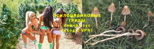 каннабис Краснослободск