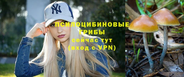 мяу мяу мука Краснотурьинск