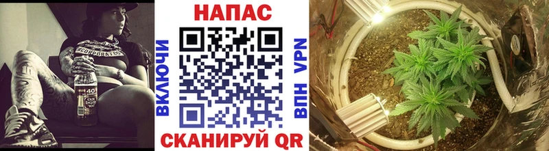 Конопля конопля  Купить где  Печоры 